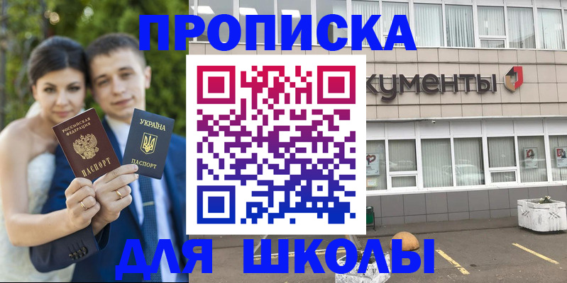 временная регистрация госуслуги в Плавске
